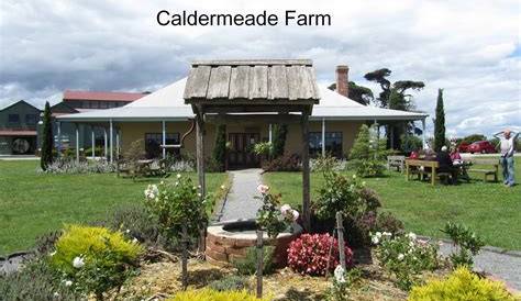 Discovering Caldermeade: Attractions and Community Impact