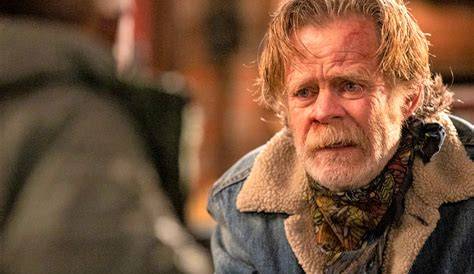 Understanding William H. Macy: His Career and Contributions