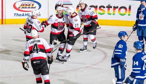 Understanding the Belleville Senators: Their Role in Hockey