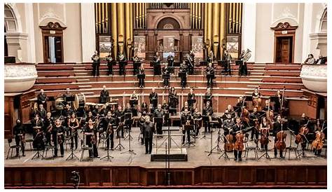Understanding the Cape Town Philharmonic Orchestra