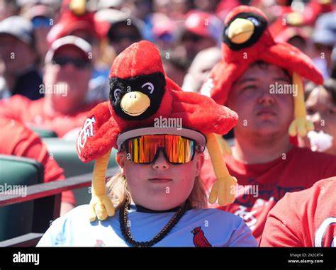 A crowd of fans enjoying a St. Louis Cardinals game at Busch Stadium.
