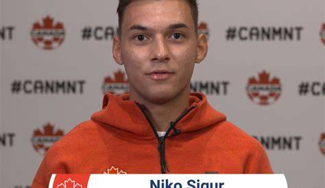 Understanding Niko Sigur: Key Contributions and Background