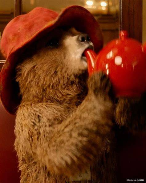 Paddington Bear offering assistance to a person in need on the street