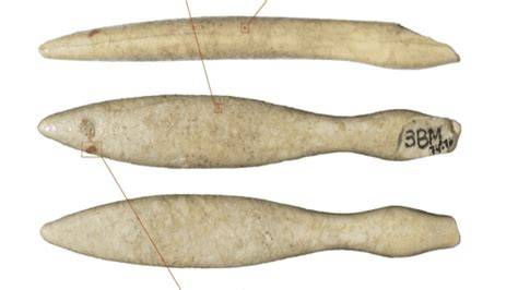 An ivory artifact with noticeable discoloration from sun exposure.