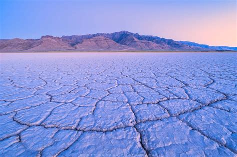 Vibrant fall colors in the Alvord Desert landscape.
