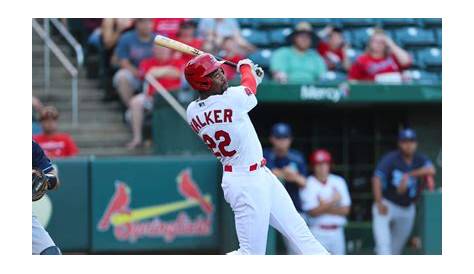 Understanding Jordan Walker: The Rising Star of MLB