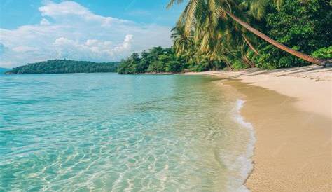 Understanding the Economy of Tonga: Key Insights for Travelers