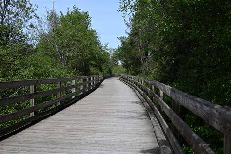 a scenic view of the water from the Lochside Regional Trail