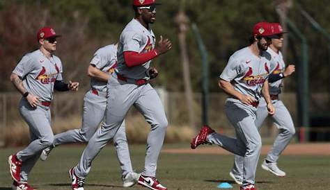 Understanding the St. Louis Cardinals: Their Legacy and Season