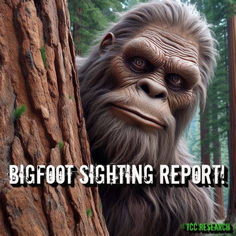 A group of people sharing their experiences about a Bigfoot sighting
