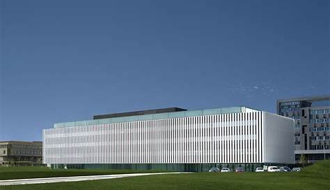 Understanding the Faculty of Law at the University of the Basque Country