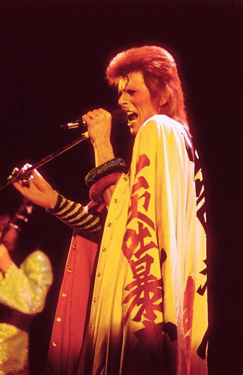 Audience enjoying David Bowie performing a classic hit