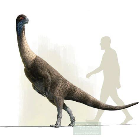 A Falcarius dinosaur demonstrating its unique limb structure