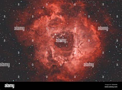 Illuminated regions of gas in the Rosette Nebula, glowing from star radiation.