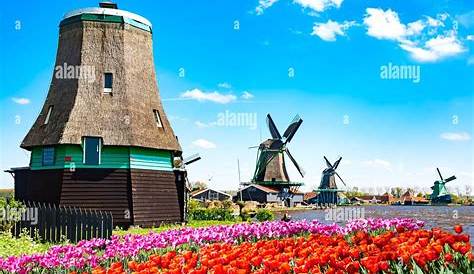 Understanding Irreligion in the Netherlands and Its Cultural Impact