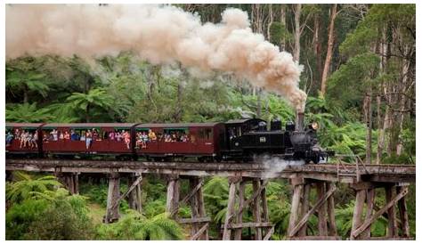 Discovering Menzies Creek: A Guide to This Charming Destination