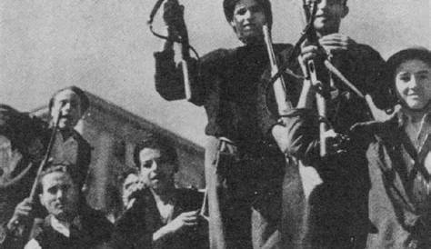 What Were the Brigate Osoppo and Their Role in WWII?